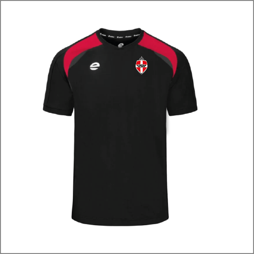 Tee Shirt PULSION – Image 2